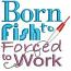 Born to Fish Machine Embroidery Design