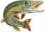 Pike Machine Embroidery Design instant download small sizes  
