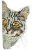 cat peeking around the corner  Machine Embroidery Designs - tested  