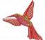 hummingbird colibri  Machine Embroidery Design 