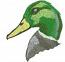 Wild Duck embroidery Machine Embroidery Design - instantly download 