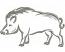 Wild boar Embroidery Machine Embroidery Design, Instant Download including cap size 