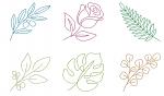 Line Art Botanical Floral Machine Embroidery Design Set Minimalist Flower Leaf Collection Modern One Line Art Digital Files