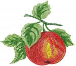Apple with Leaves Machine Embroidery Design Red Fruit 3 Sizes 