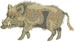 Wild Boar Machine Embroidery Design, Full Body Wild Boar File  