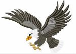  Flying Eagle Machine Embroidery Design 