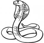 Cobra Machine Embroidery Design, instantly download 