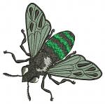 Fly Machine Embroidery Designs INSTANT DOWNLOAD  