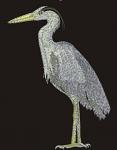 Grey Heron Machine Embroidery Design – Instant Download 