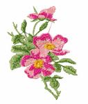 Wild rose Machine Embroidery design 