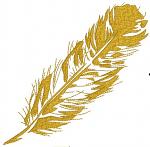 Feather Embroidery Design / Pen Machine Embroidery Design 