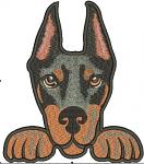 Doberman Peeking Dog Machine Embroidery Design 
