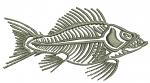 Fish skeleton machine embroidery design, instantly download 4sizes 