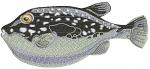  Puffer fish Machine Embroidery Design instant download