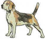 Beagle Dog Machine Embroidery Design, Standing Beagle Hound Digital File  