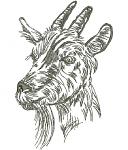 Goat Head Machine Embroidery Design 