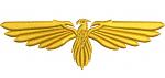 Eagle Machine Embroidery Design 