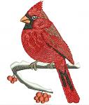 Red cardinal bird  Machine Embroidery Design  