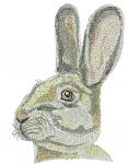 Wild Hare Rabbit Machine Embroidery Design, Realistic Animal Style, Large Hoop Format 