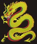 Chinese dragon machine embroidery design  