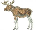Elk Machine Embroidery Design 