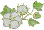 Branch of cotton and leaves machine embroidery design 