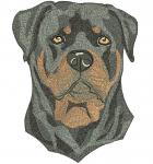 rottweiler Machine Embroidery Design 