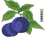 Blue Plums with Leaves Machine Embroidery Design Juicy Fruit 3 Sizes 