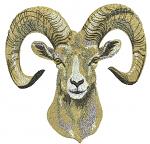 Ram Head Machine Embroidery Design, Wild Mountain Sheep Horns Pattern 