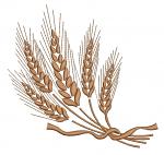 Wheat Spikelets with Ribbon Machine Embroidery Design 4 Sizes 