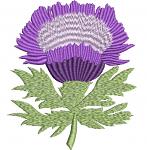 Scotch Thistle Flower  Scottish thistle machine embroidery design/ letters not included 