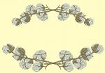Cotton Flowers Branches for Monogram Machine Embroidery Design 