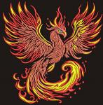 phoenix firebird embroidery design /  INSTANT DOWNLOAD / Three sizes 