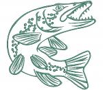 Pike Fish Machine Embroidery Design