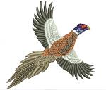Pheasant Machine Embroidery Design Instant Download 