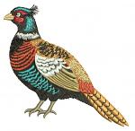 Pheasant Machine Embroidery Design Realistic Colorful Bird 3 Sizes Instant Download PES JEF DST  