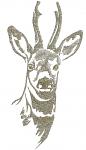 Roe Deer Head Machine Embroidery Design, Wild Animal Portrait Pattern 