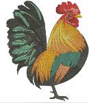 Colorful Rooster Machine Embroidery Design, High-Density Cockerel Digital File  