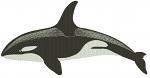 Killer whale machine embroidery designs