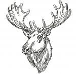 Moose Head Machine Embroidery Design, Sketch Style Forest Animal Pattern, Multi Size Digital File