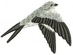 Flying Swallow Machine Embroidery Design, Graceful Bird Digital File 