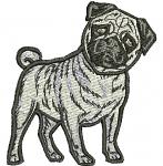 Pug dog machine embroidery design, instantly download 