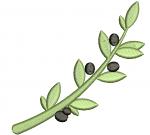 Olive branch Olives, olive oil Machine Embroidery Design, Instant Download 