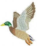 Mallard Duck Machine Embroidery Design 