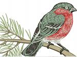 Bullfinch Machine Embroidery Design