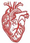 Realistic Heart Machine Embroidery Design 